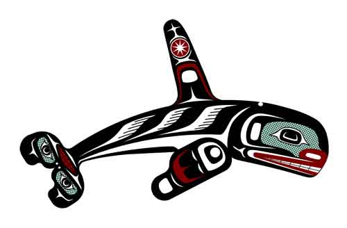 Vector Drawing: Orca Vector Drawing: Orca